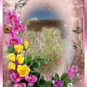 Meet your Posher, Roswitha